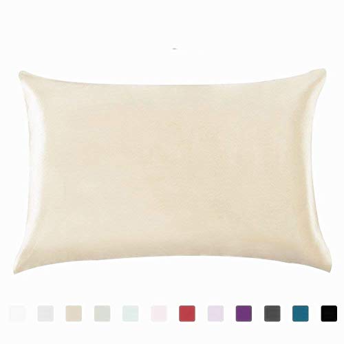 Silky Satin Hair Beauty Pillowcase, Standard/Queen 1PC