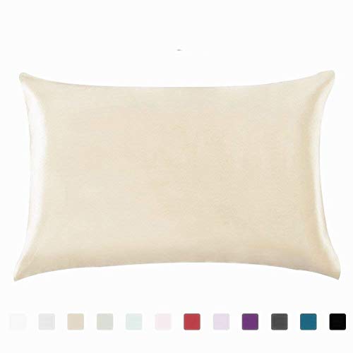 Silky Satin Hair Beauty Pillowcase, Standard/Queen 1PC